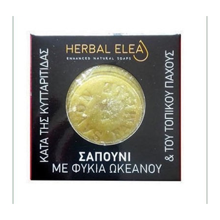 BioLeon Herbal Elea Σαπούνι με Φύκια Ωκεανού Κατά της Κυτταρίτιδας 150gr BioLeon Herbal Elea Σαπούνι με Φύκια Ωκεανού Κατά της Κυτταρίτιδας 150gr