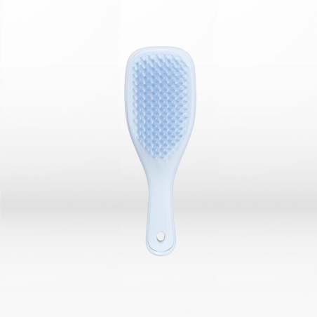 Tangle Teezer The Wet Detangler Mini Lavender Βούρτσα Μαλλιών για Ξεμπέρδεμα