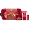 Apivita BBeevine Elixir Rich Cream Δώρο Beevine Elixir Night Cream 15ML & Serum 10ML